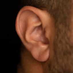 Close up of ear